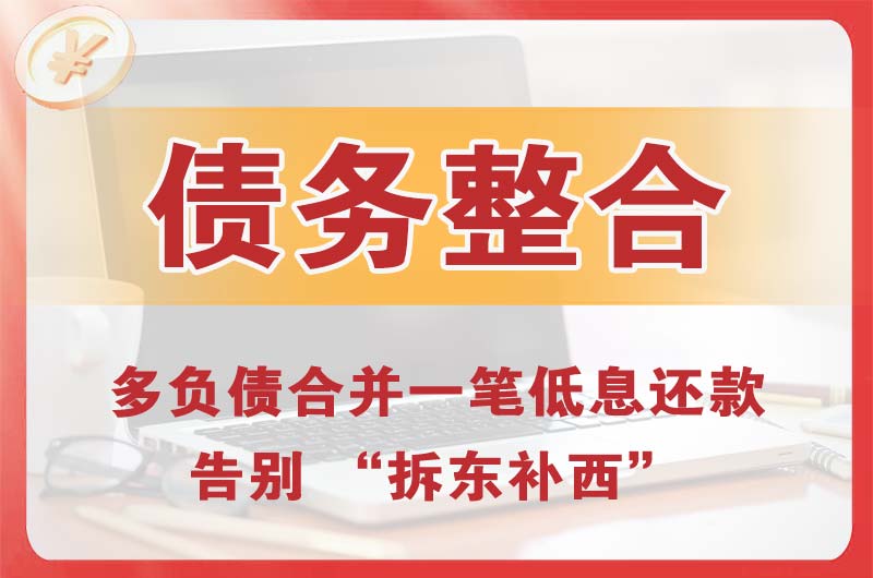 大武口债务整合